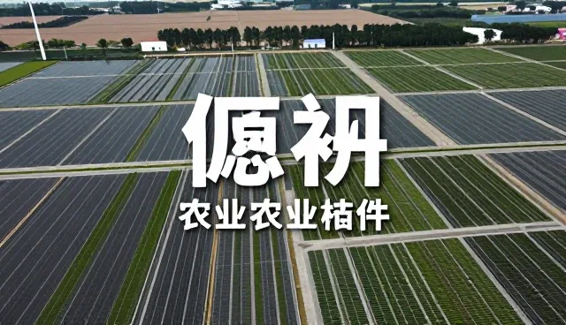 文案创作中的选型关注点与实际应用分析
