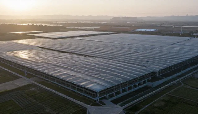 对象覆盖如何影响性能优化效果，应对策略有哪些
