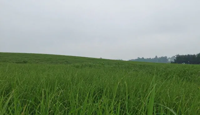 品牌宣传片制作中的脚本撰写与拍摄流程
